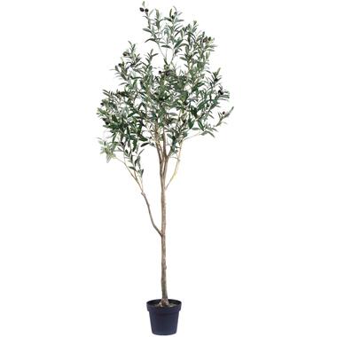 Hoyz Greenery - Kunst Olijfboom 180 cm product