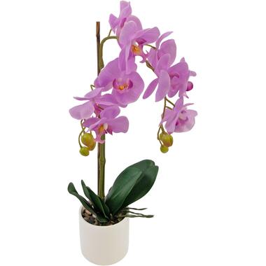 Hoyz Greenery - Kunst Orchidee 52 cm roze in witte pot product