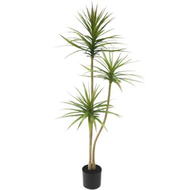 Hoyz Greenery - Kunstplant Dracaena Fragnans 150 cm product