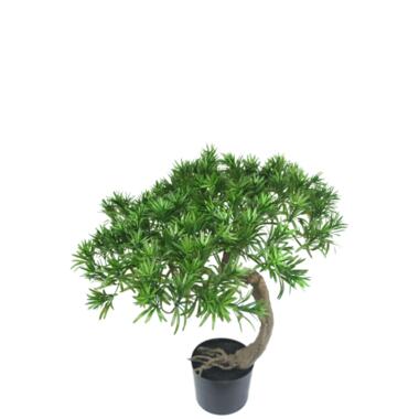 Hoyz Greenery - Kunst Bonsaiboom Pine 55 cm product