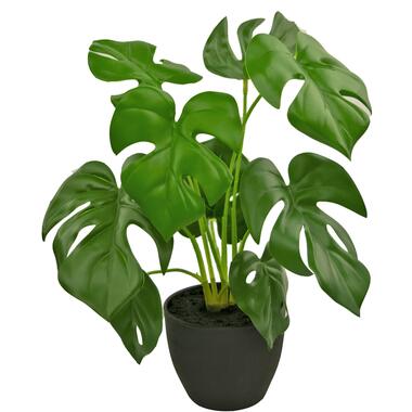 Hoyz Greenery - Kunst Monstera 40 cm in sierpot zwart product