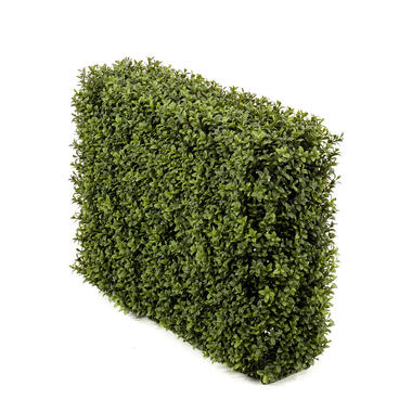 Hoyz Greenery - Kunst Buxushaag 70x20x50 cm UV product