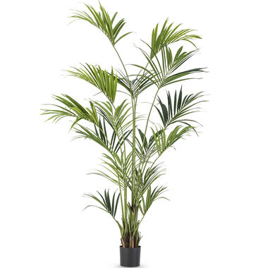 Hoyz Greenery - Kunstpalm Kentia 220 cm product