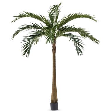 Hoyz Greenery - Palm XL Deluxe 270 cm product