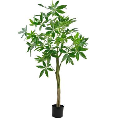 Hoyz Greenery - Kunstplant Pachira 150 cm product