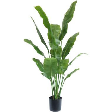 Hoyz Greenery - Kunstplant Strelitzia Nicolai 165 cm product