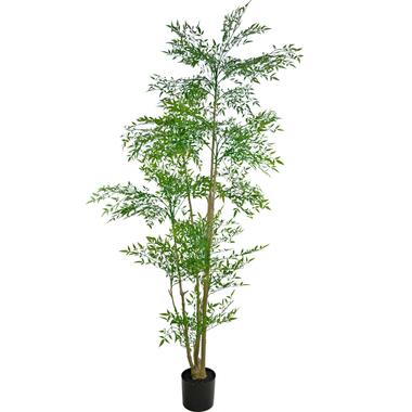 Hoyz Greenery - Kunstplant Ruscus 210 cm product