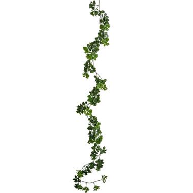 Hoyz Greenery - Kunst slingerplant Gardenia 157 cm product