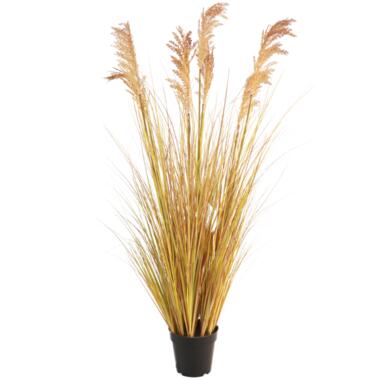 Hoyz Greenery - Kunst Grasplant Sorghum 130 cm product