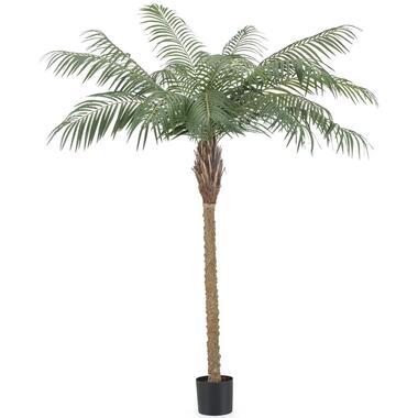 Hoyz Greenery - Kunstplant Phoenix Palm De Luxe 180 cm product