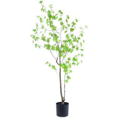 Hoyz Greenery - Kunstplant Enkianthus 150 cm product