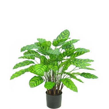 Hoyz Greenery - Kunstplant Calathea Makoyana Deluxe 75 cm product