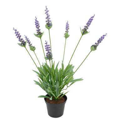 Hoyz Greenery - Kunstplant Lavendel 43 cm product