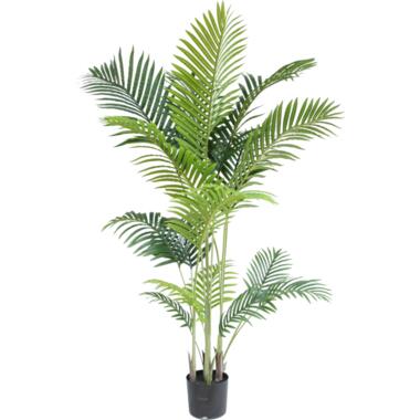 Hoyz Greenery - Kunstplant Phoenix 160 cm product