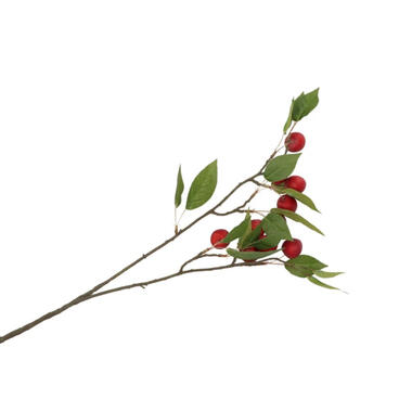 DK Design Kunstbloem fruit tak appels - 76 cm - rood product