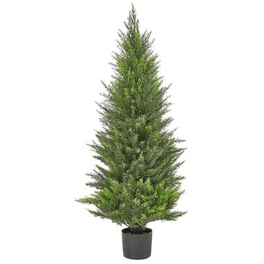 CEDAR TREE - Kunstplant - Groen - 120 cm - Synthetisch product