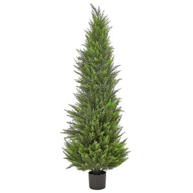 CEDAR TREE - Kunstplant - Groen - 153 cm - Synthetisch product