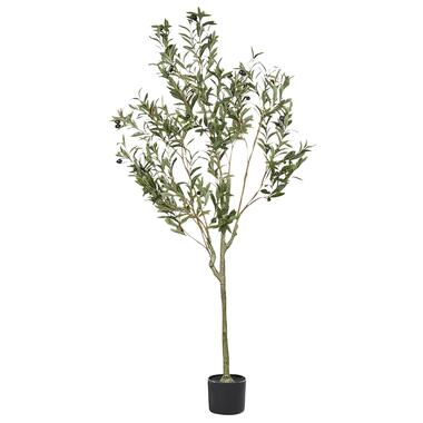 OLIVE TREE - Kunstplant - Groen - 153 cm - Synthetisch product