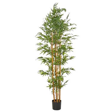 BAMBOO - Kunstplant - Groen - 220 cm - Synthetisch product