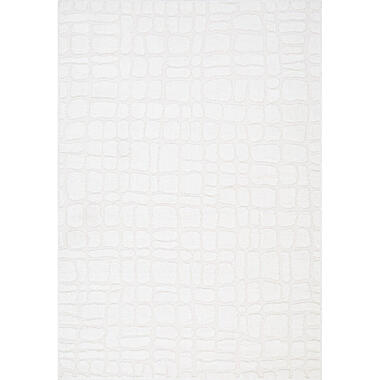 Interieur05 Scandinavisch Vloerkleed Malin Creme/Wit - 235 x 160 cm product