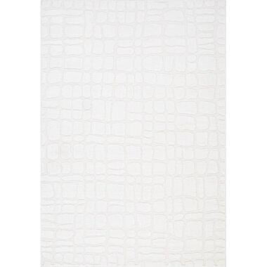 Interieur05 Scandinavisch Vloerkleed Malin Creme/Wit - 330 x 240 cm product