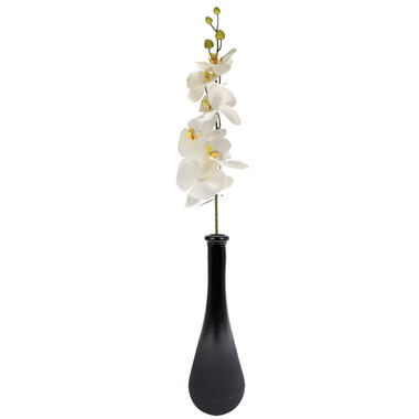 Bellatio Design Kunstbloem Orchidee Milan - creme - 78 cm - losse steel product