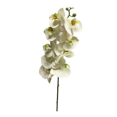 Bellatio Design Kunstbloem Orchidee Bora - wit - 108 cm product