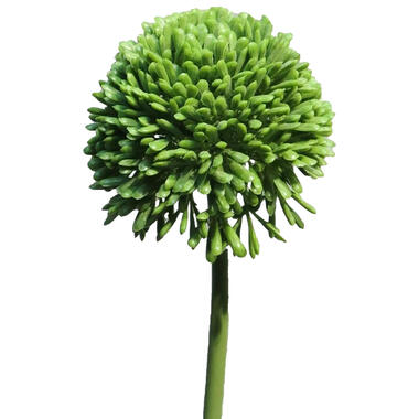 Bellatio Design Allium/Sierui kunstbloem - losse steel - groen - 44 cm product