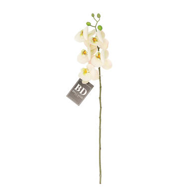 Bellatio Design Kunstbloem Orchidee Bora - wit - 58 cm - kunst product