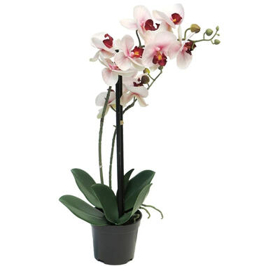 Bellatio Design Kunstplant Orchidee - bloemen in het roze - 50 cm product