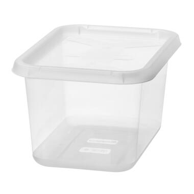 Stevige Opbergbox 11L - SmartStore 38x27x20cm product