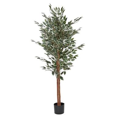 FICUS TREE - Kunstplant - Groen - 167 cm - Synthetisch materiaal
