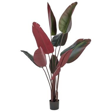BANANA TREE - Kunstplant - Groen - 170 cm - Synthetisch materiaal