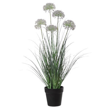 Louis Maes kunstplant - Siergras Allium - paars - H75 cm - in pot product