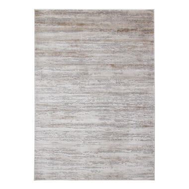 Dutch Lifestyle - polypropyleen - Vloerkleed - 160x230cm - Beige product