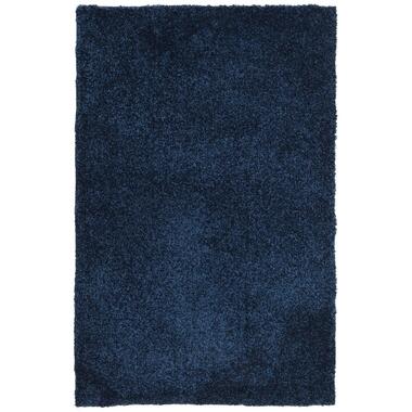 Dutch Lifestyle - Polypropyleen - Vloerkleed - 300x200cm - Blauw product