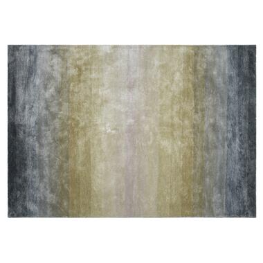 Dutch Lifestyle - Viscose - Vloerkleed - 160x230cm - Multikleur product