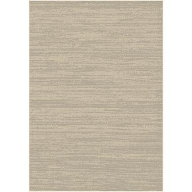 Dutch Lifestyle - Viscose - Vloerkleed - 160x230cm - Beige product