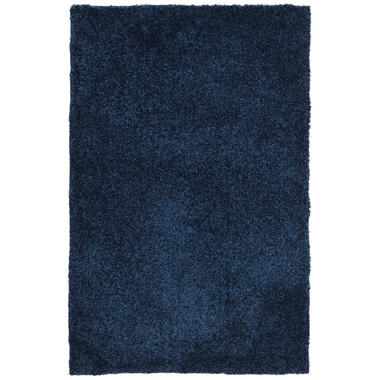 Dutch Lifestyle - Polypropyleen - Vloerkleed - 230x160cm - Blauw product