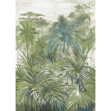 Sanders & Sanders fotobehang - jungle-motief - vergrijsd groen - 212 x 295 cm product