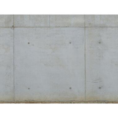 Livingwalls fotobehang - betonlook - grijs en beige - 371 x 280 cm - AS-392251 product
