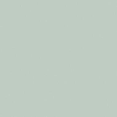 Duro behang - effen - lichtgroen - 53 cm x 10.05 m - 661102 product