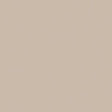 Duro behang - effen - donker beige - 53 cm x 10.05 m - 661112 product