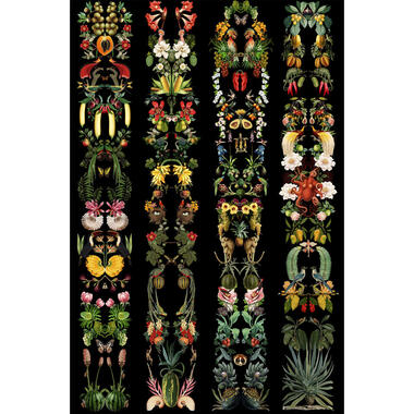 Walls4You fotobehang - tropische bladeren en bloemen - zwart en meerkleurig product