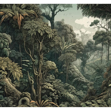Sanders & Sanders fotobehang - jungle-motief - donkergroen - 300 x 279 cm product