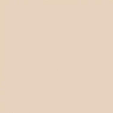 Duro behang - effen - beige - 53 cm x 10.05 m - 661111 product