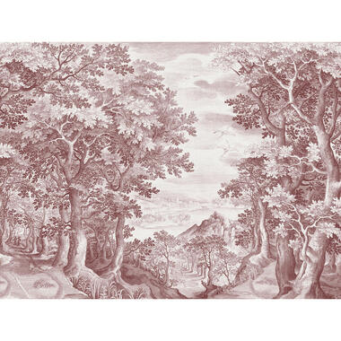 Sanders & Sanders fotobehang - bos - rood - 371 x 280 cm - 640818 product