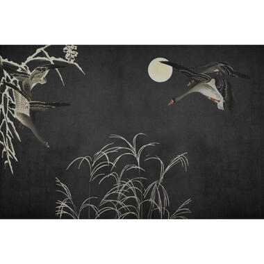 Sanders & Sanders fotobehang - vogels - zwart en grijs - 424 x 280 cm - 640897 product