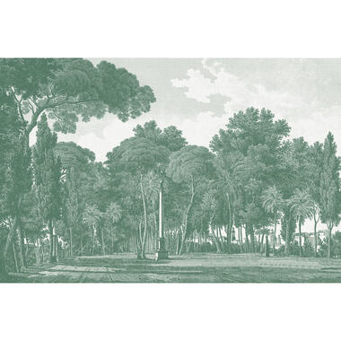 Sanders & Sanders fotobehang - bos - groen - 424 x 280 cm - 640822 product