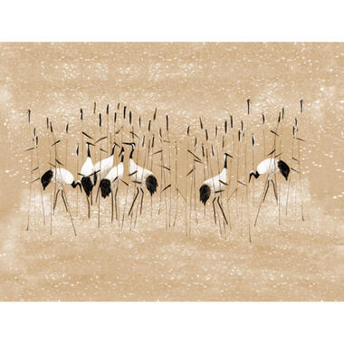 Sanders & Sanders fotobehang - kraanvogels - licht terracotta - 371 x 280 cm product